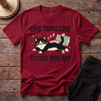Good Things Come To Cats Who Take Nap T-Shirt