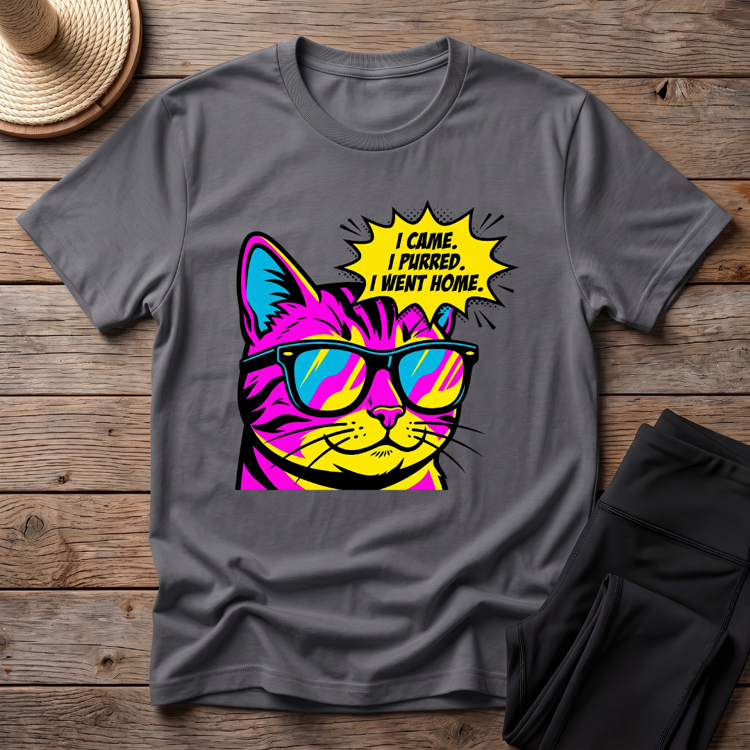 I Went Home T-Shirt