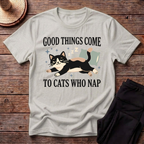 Good Things Come To Cats Who Take Nap T-Shirt