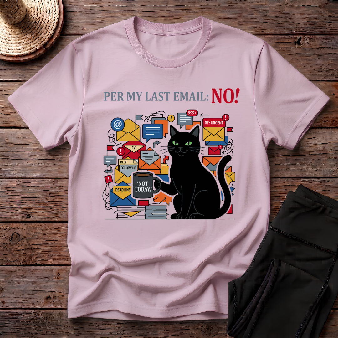 Per My Last Email_ No! T-Shirt