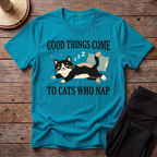 Good Things Come To Cats Who Take Nap T-Shirt