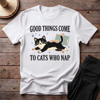 Good Things Come To Cats Who Take Nap T-Shirt